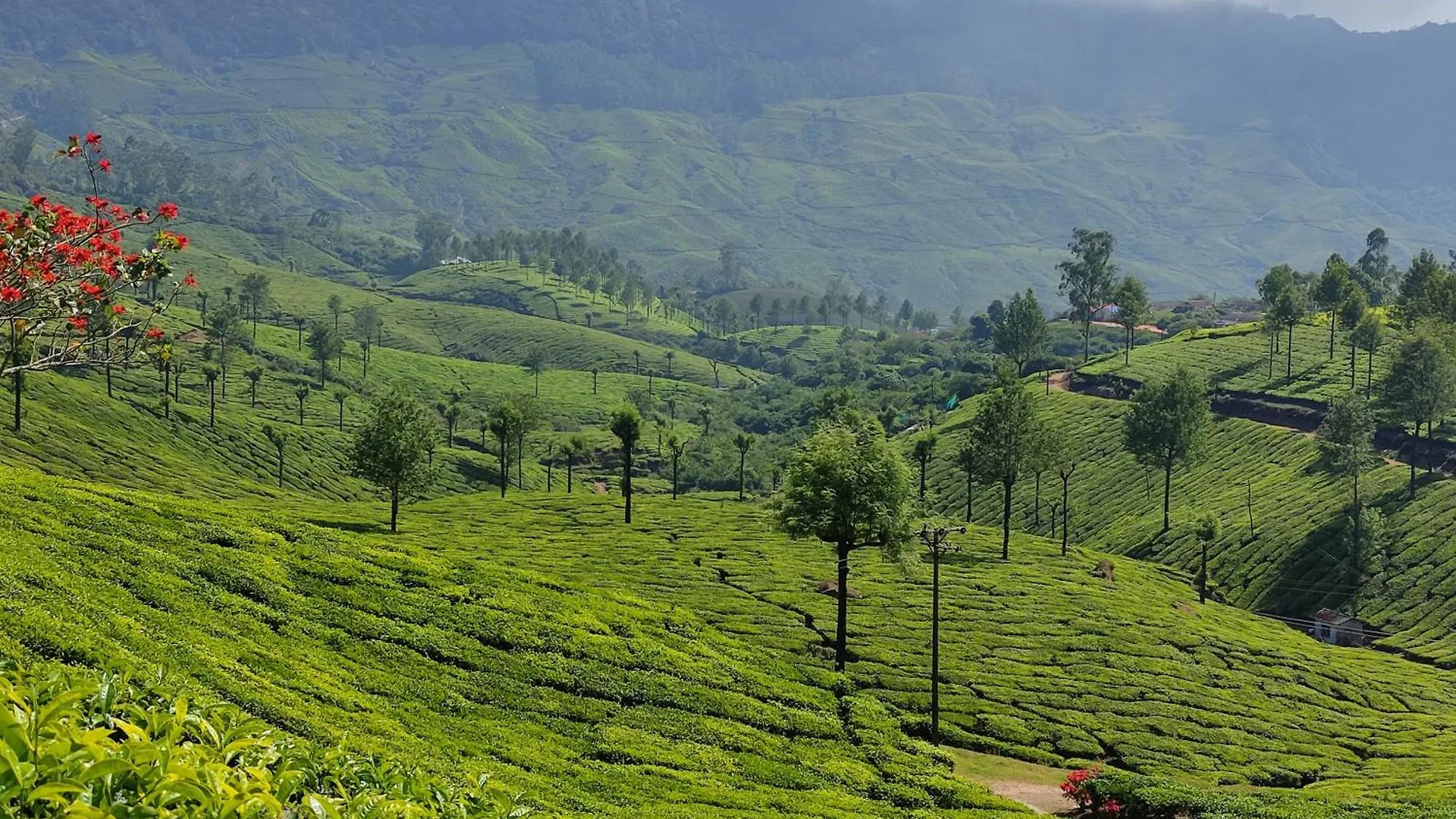 Prázdninový dům Munnar Village Homes Indie