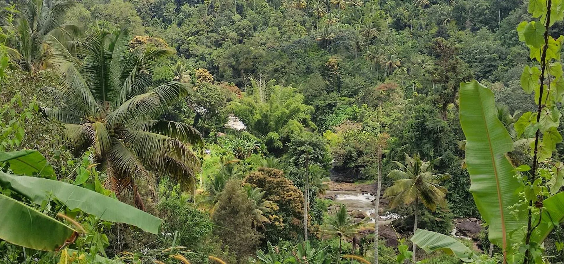 Munnar Village Homes 0*,  India